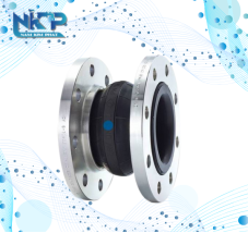 KHƠP NỐI MẶT BÍCH INOX 114