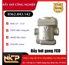 BẪY HƠI GANG FCD