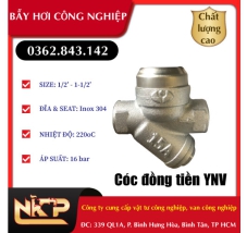 CÓC ĐỒNG TIỀN YNV 