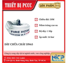 VÒI CHỮA CHÁY DN65