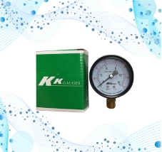 ĐỒNG HỒ ÁP SUẤT GAUGES