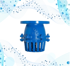 RỌ BƠM MẶT BÍCH HÀN QUỐC