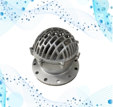 RỌ BƠM MẶT BÍCH INOX 10K