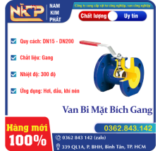 VAN BI MẶT BÍCH GANG