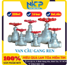 VAN CẦU GANG REN 16K FCD