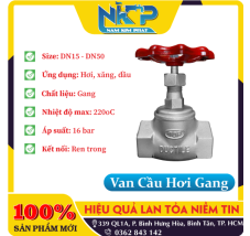 VAN CẦU REN GANG DUCTILE
