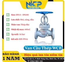 VAN CẦU THÉP WCB