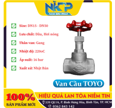 VAN CẦU GANG TOYO