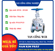 VAN CỔNG THÉP WCB